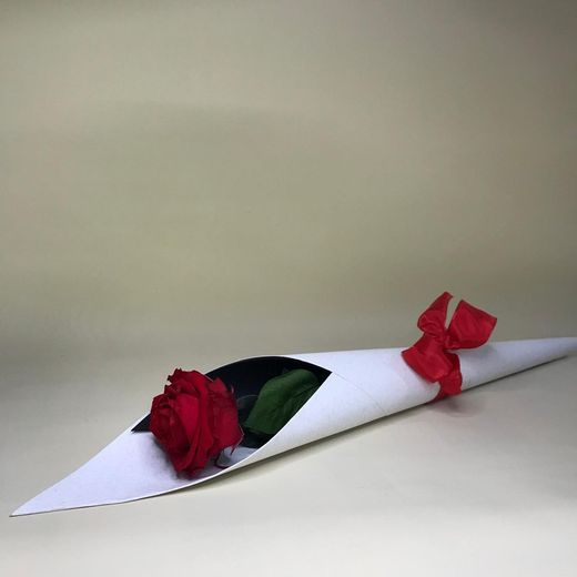 Roses Preservades XL 45/50 cm