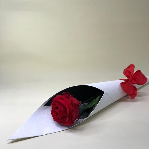 Roses Preservades XL 45/50 cm