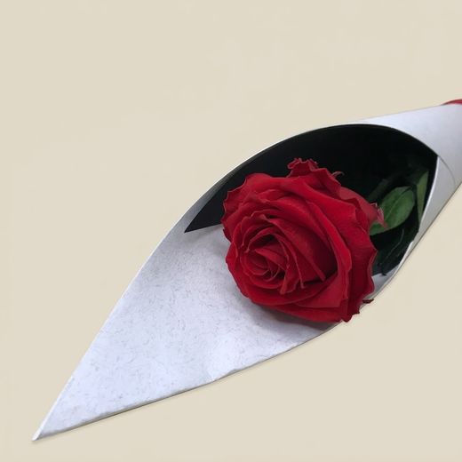 Rosas em Conserva XL 45/50 cm