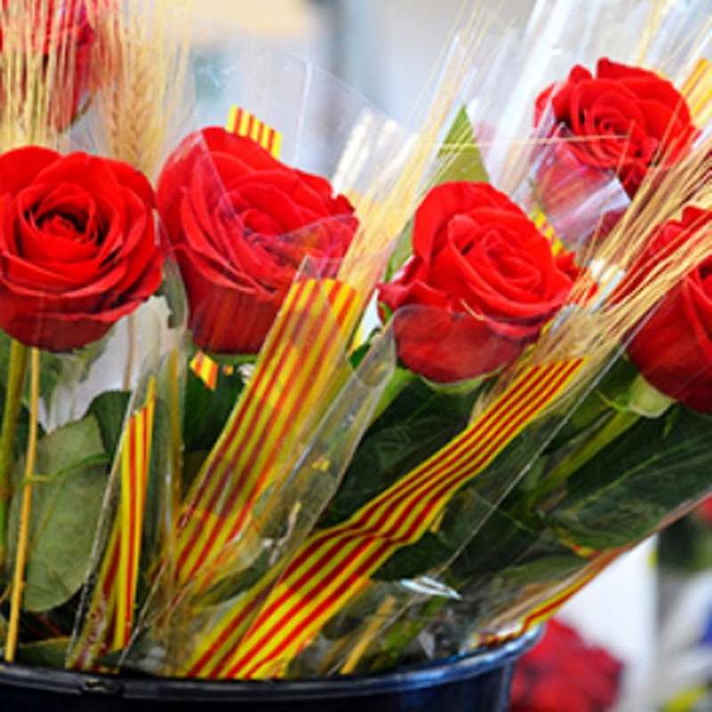 Rosas Rojas Arregladas 50 cm — Floresfrescasonline