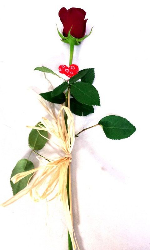 Rosas San Valentín arregladas 60 cm Pack 50 uds.