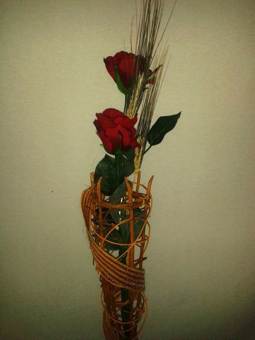 Rosas Sant Jordi Nature