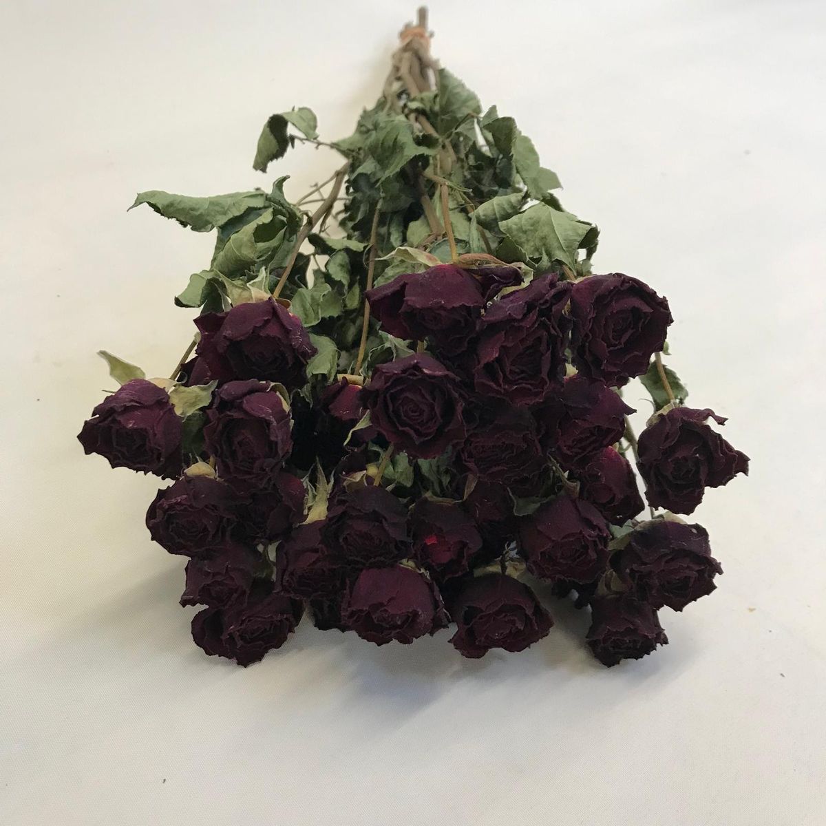 Rosas Spray Secas Rosas Secas Amarillas