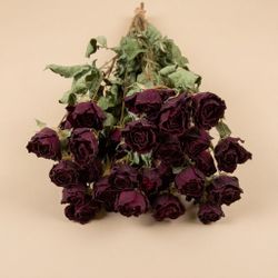 Rosas Spray Secas
