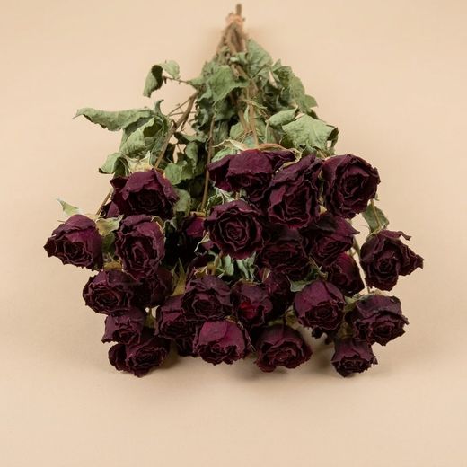 Rosas Spray Secas