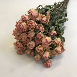 Rosas Spray Secas