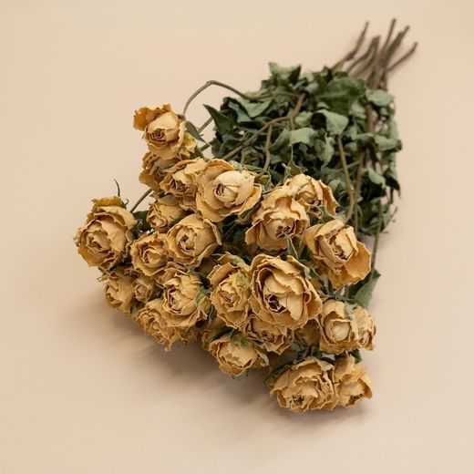 Rosas Spray Secas