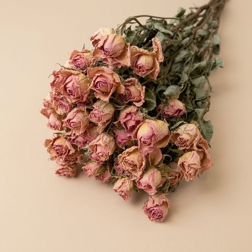 Rosas Spray Secas
