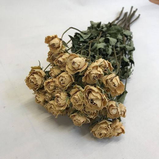 Rosas Spray Secas