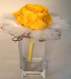 Rosmélia jaune