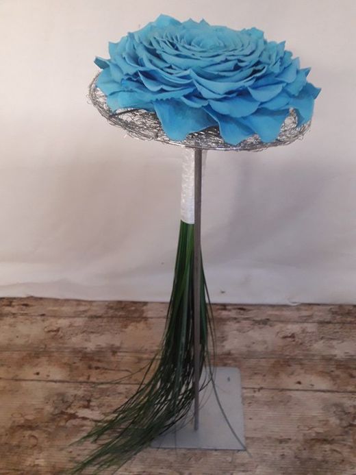 Rosmelia Blau Cel Vanessa ​​Preservada