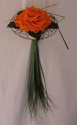 Rosmelia Naranja preservada