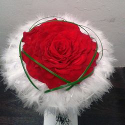 Rosmelia Preservada Roja Cristina