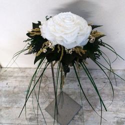 Rosmelia Puresa en cascada