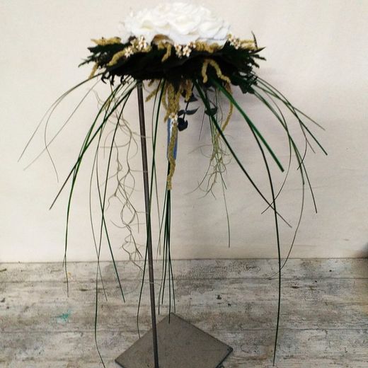 Rosmelia Puresa en cascada