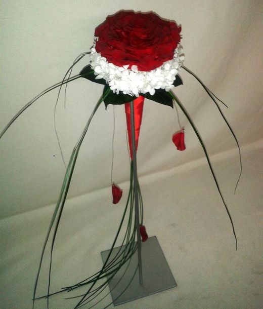 Rosmelia Vermella en cascada Preservada