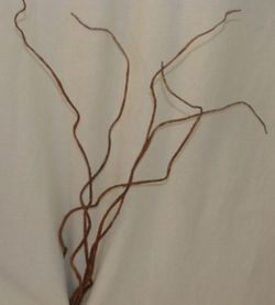 Salix Artificial Caixa 12 unitats