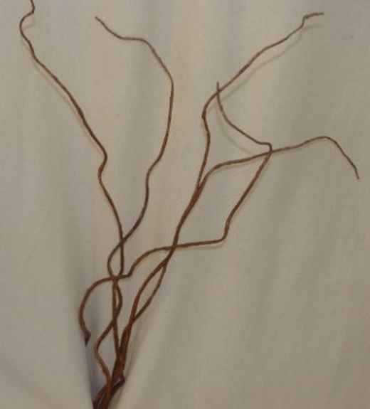 Salix Artificial Caixa 12 unitats