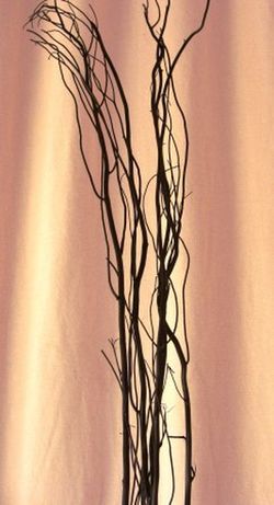 Salix Natural Tenyit