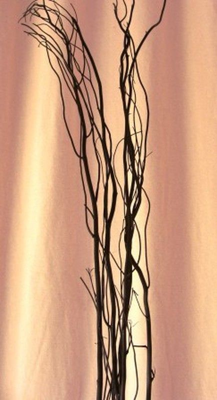Salix Natural Tenyit
