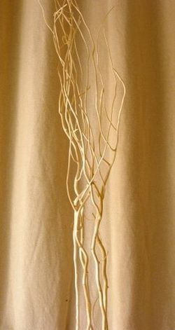 Salix Natural Tenyit