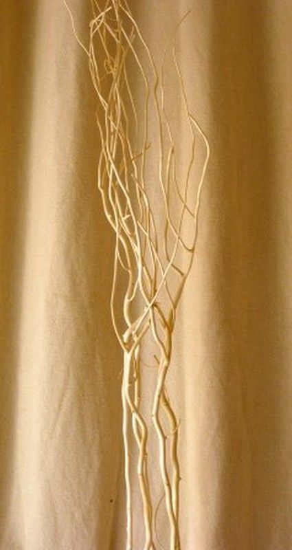 Salix Natural Tenyit