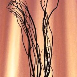 Salix Natural Tenyit