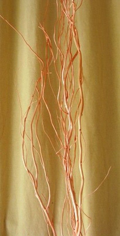 Salix Natural Tenyit