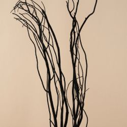Salix natural teñido