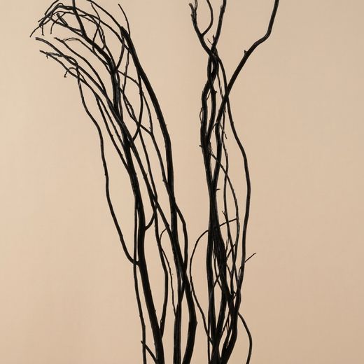 Salix teint naturellement
