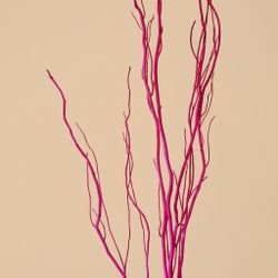 Salix natural teñido