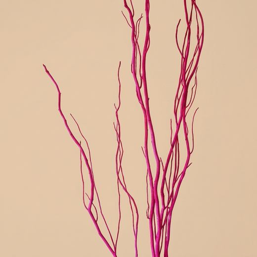 Salix natural teñido