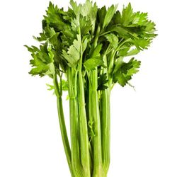 Semillas Apios