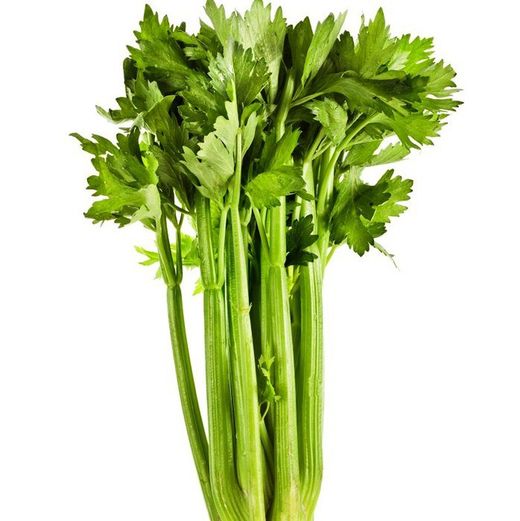 Semillas Apios