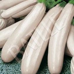 Semillas Calabacines