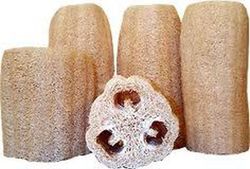 Semillas Calabaza Luffa