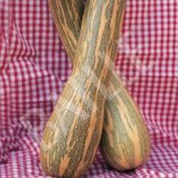 Semillas Calabazas