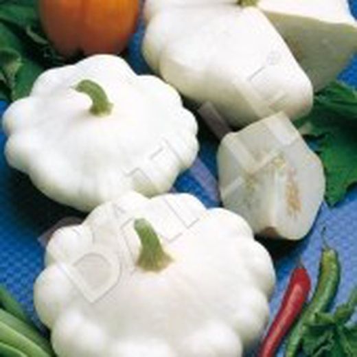 Semillas Calabazas