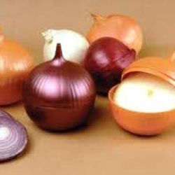 Semillas Cebollas