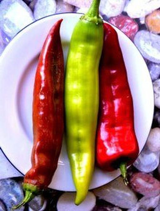 Semillas Chile New Mex Big Jim