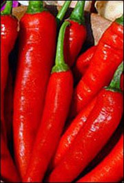 Semillas Chile Serrano