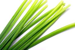 Semillas Citronella
