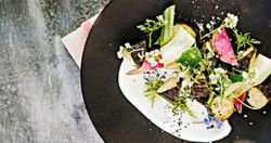 Semillas comestibles Alyssum Gourmet