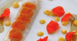 Semillas comestibles Capuchinas Gourmet