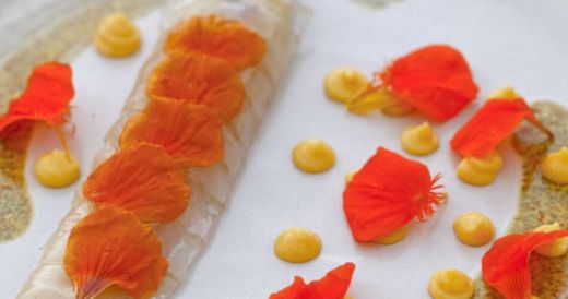 Semillas comestibles Capuchinas Gourmet
