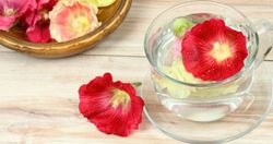 Semillas comestibles Malva Gourmet