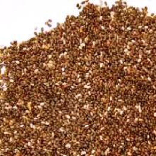 Semillas de Chia Salvia Hispanica