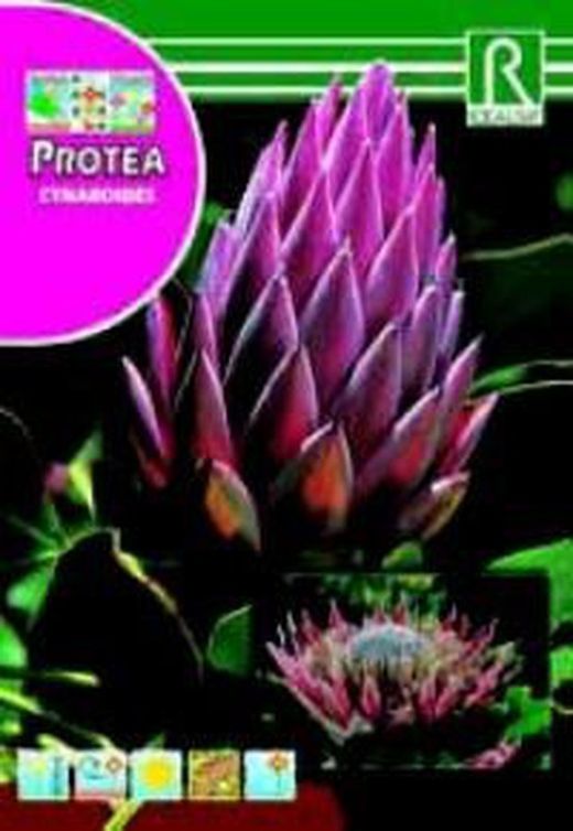 Semillas de Proteas