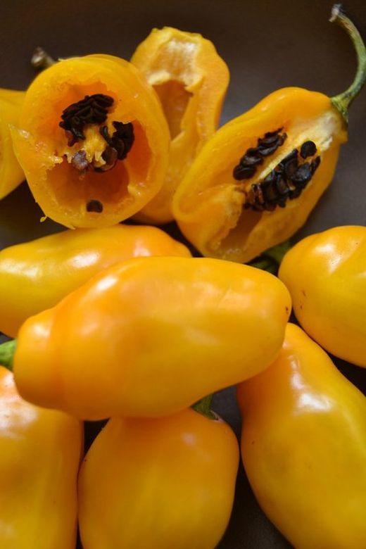 Semillas de Rocoto Amarillo, locoto canario