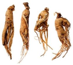 Semillas Ginseng